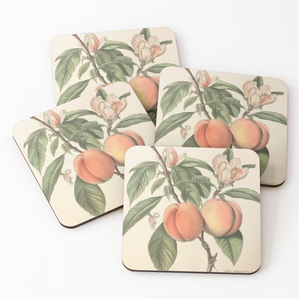 Item preview, A Vintage Botanical Sketch of Peaches  designed and sold by Sketch-Shack.