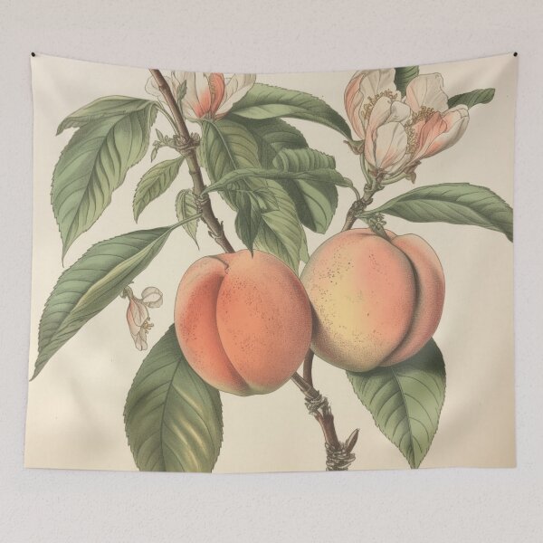 Item preview, A Vintage Botanical Sketch of Peaches  designed and sold by Sketch-Shack.