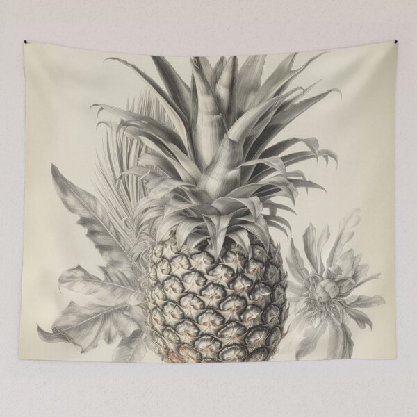 Item preview, Un boceto botánico vintage de una piña designed and sold by Sketch-Shack.