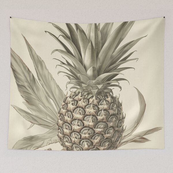 Item preview, Un boceto botánico vintage de una piña designed and sold by Sketch-Shack.