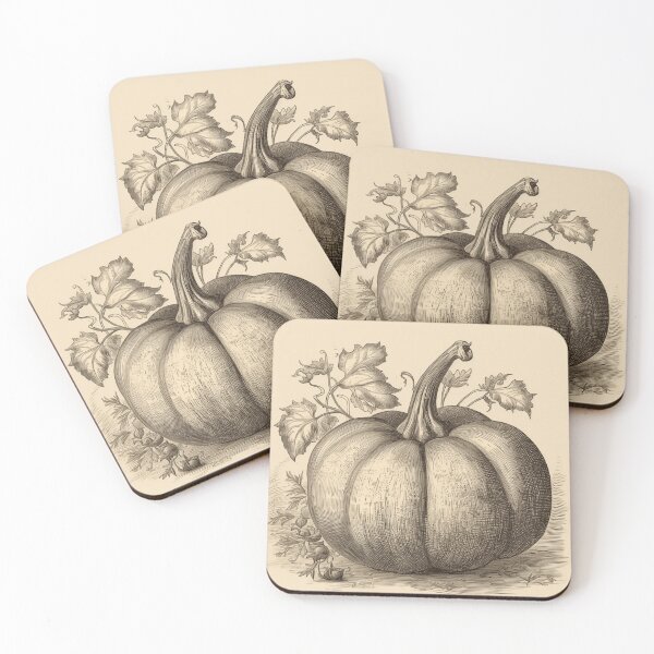Item preview, Un boceto botánico vintage de una calabaza designed and sold by Sketch-Shack.