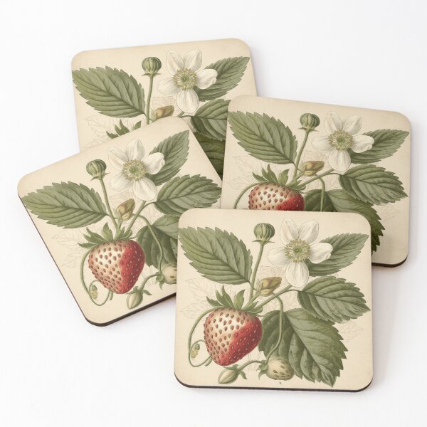 Item preview, Un boceto botánico vintage de fresas designed and sold by Sketch-Shack.