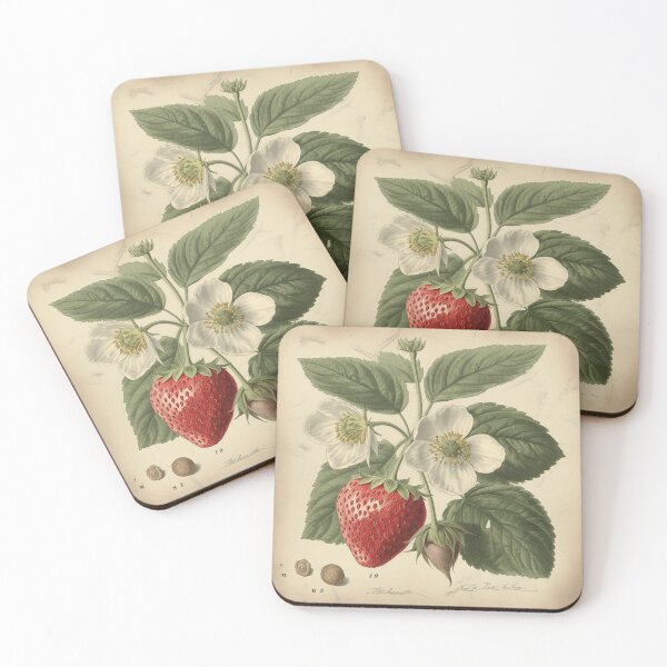 Item preview, Un boceto botánico vintage de fresas designed and sold by Sketch-Shack.