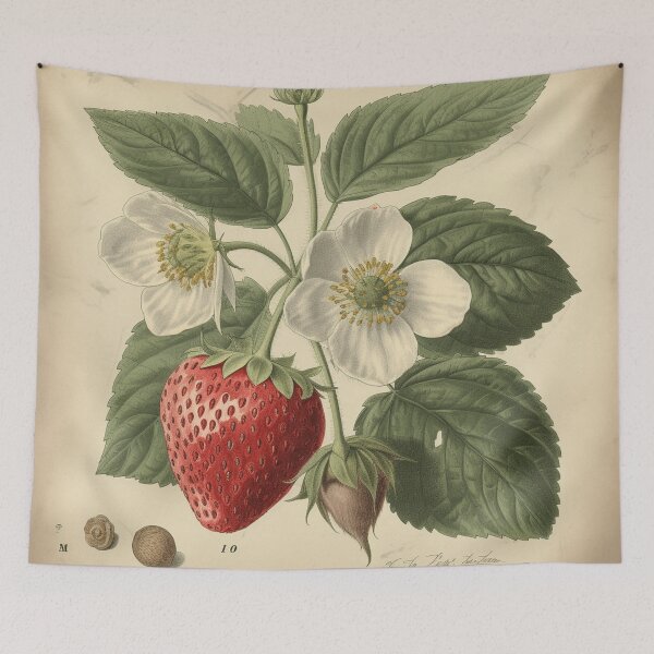 Item preview, Un boceto botánico vintage de fresas designed and sold by Sketch-Shack.