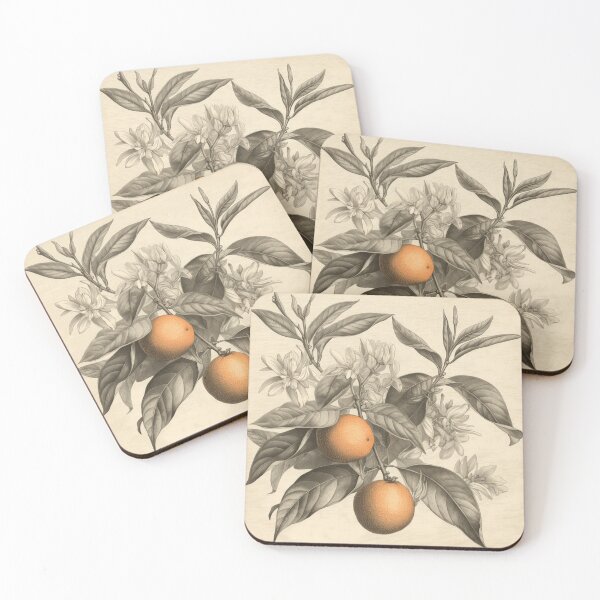 Item preview, A Vintage Botanical Sketch of Tangerines  designed and sold by Sketch-Shack.