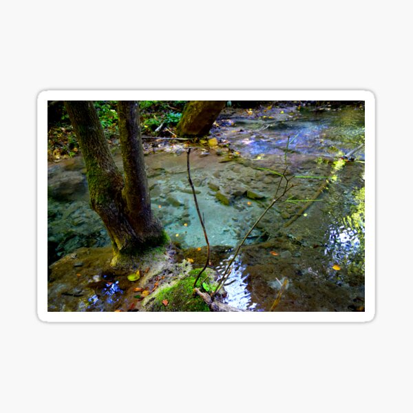 Beautiful Forest River Sticker
