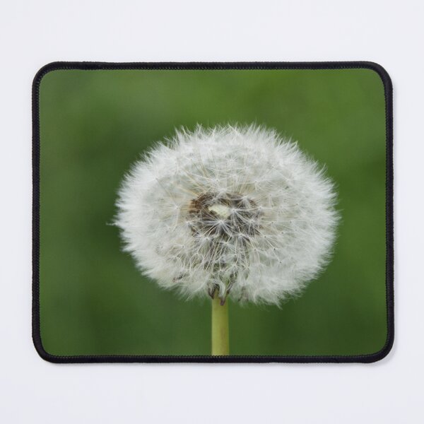 Item preview, A dandelion flower in a field designed and sold by Claude Laprise.