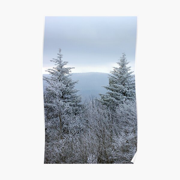 Frozen Pine II Poster