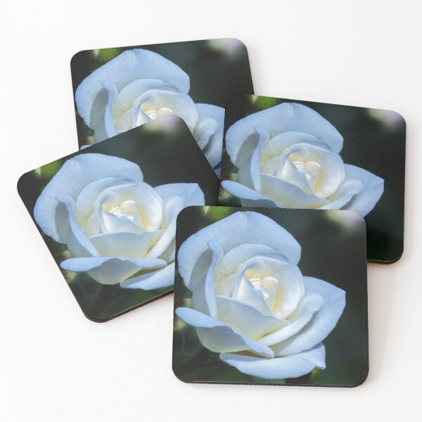Item preview, Romantic White Rose designed and sold by Tom McPherson Photography.