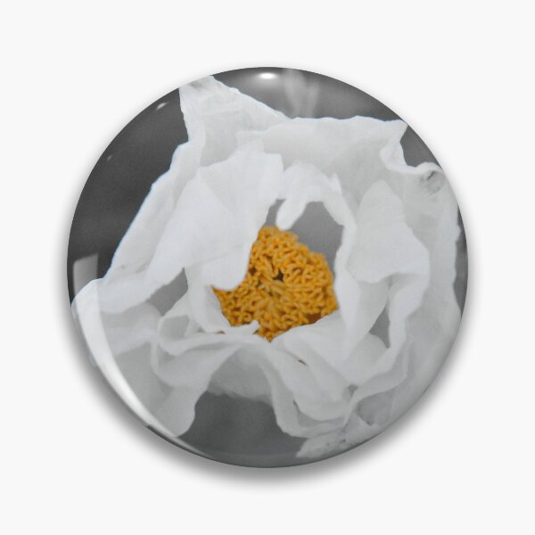 Item preview, Wild rose designed and sold by DDJPhotography.