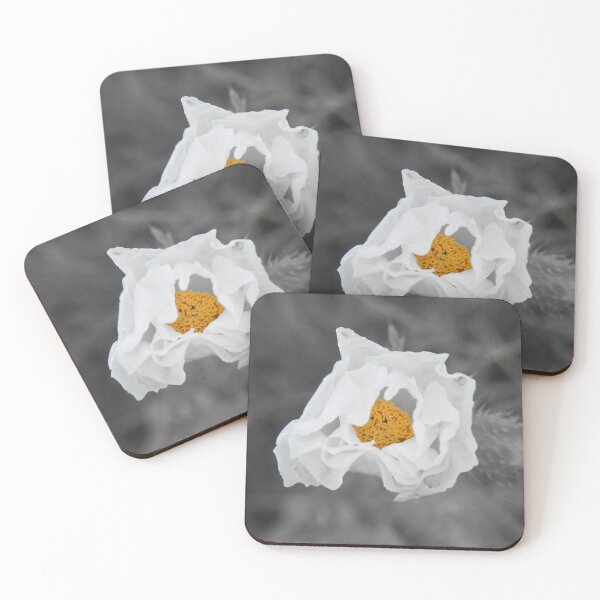Item preview, Wild rose designed and sold by DDJPhotography.