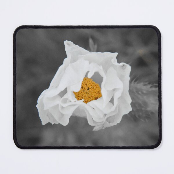 Item preview, Wild rose designed and sold by DDJPhotography.