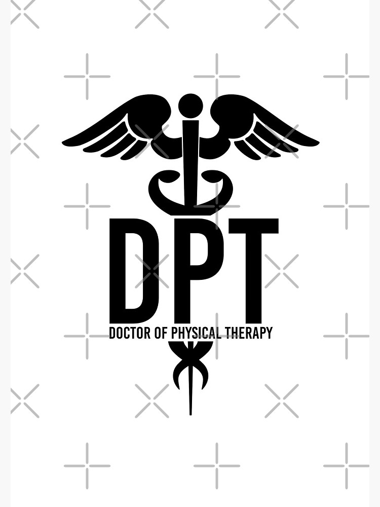 2024 DPT Graduation Gift / DPT Keychain / She Believed She Could So Sh Did Key Chain Doctor Of Physical Therapy Keyring Caduceus Her