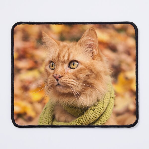 Item preview, Puddy Cat in a Scarf designed and sold by KilkennyCat Art.