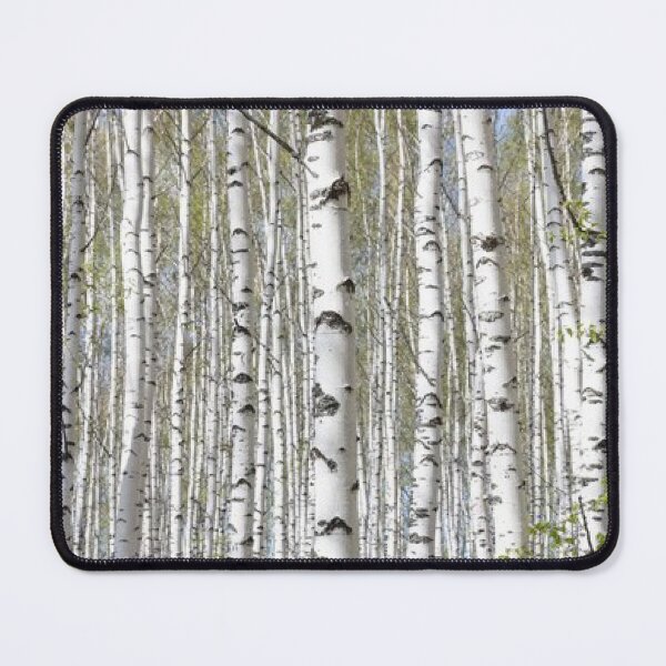 Item preview,  The Birch Trees Framed Art Print Poster designed and sold by ShopTop M.
