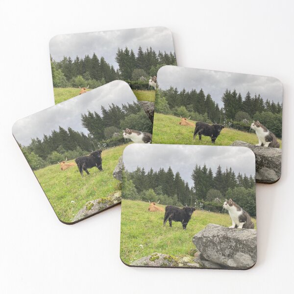 Item preview, Scottish Highland Cattle Cow and cat 4550 designed and sold by SaarelaHighland.