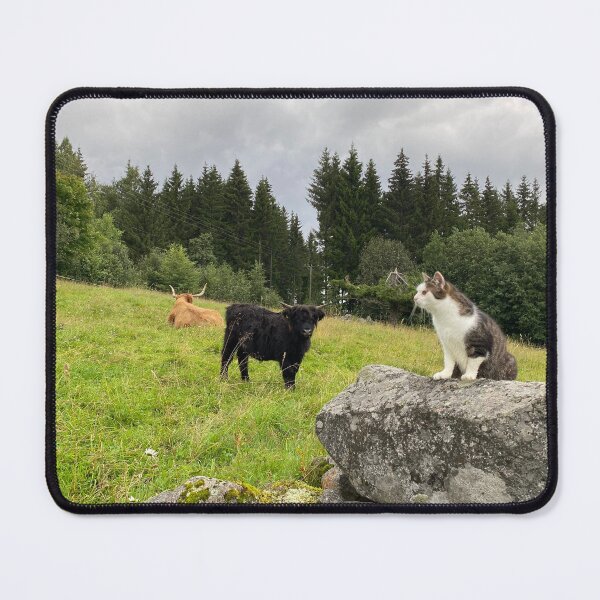 Item preview, Scottish Highland Cattle Cow and cat 4550 designed and sold by SaarelaHighland.