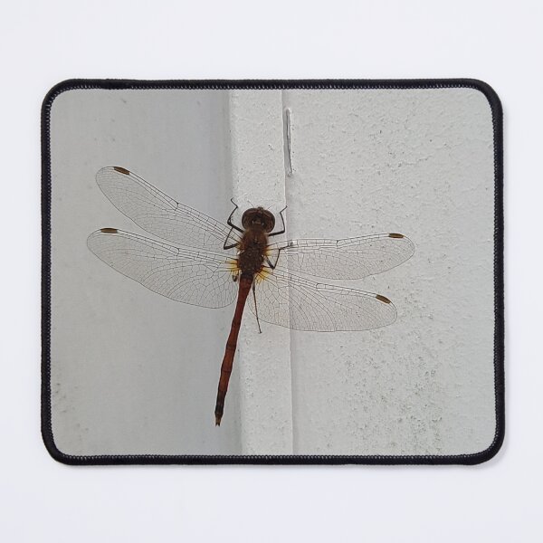 Item preview, Dragonfly designed and sold by MrsRaynor.