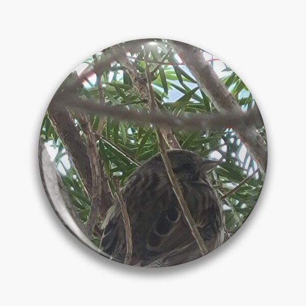 Item preview, Fat bird designed and sold by MrsRaynor.