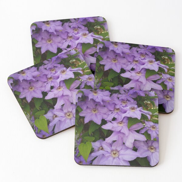 Item preview, Clematis designed and sold by MrsRaynor.