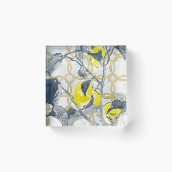 Variation of colours N°4 Acrylic Block