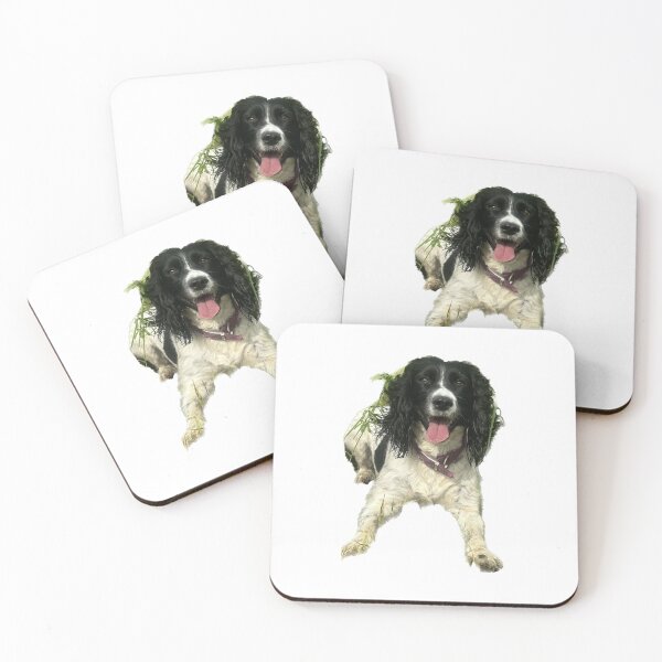 Artikelvorschau, Springer Spaniel entworfen und verkauft von Anthony Hiorns.