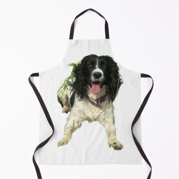 Item preview, Springer Spaniel designed and sold by Anthony Hiorns.