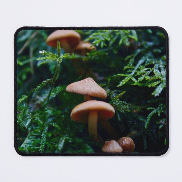 Item preview, mushrooms 1 designed and sold by mjoffe.