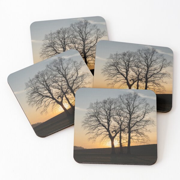 Item preview, Trees and golden evening light in winter designed and sold by Heidemüllerin.
