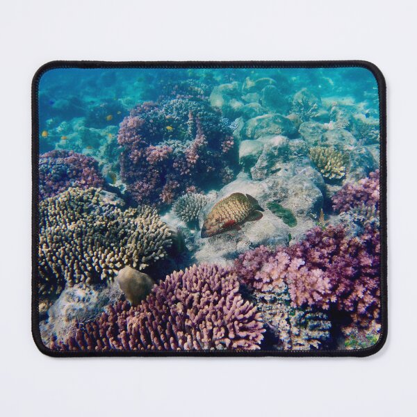 Item preview, colorful fish and coral designed and sold by mjoffe.