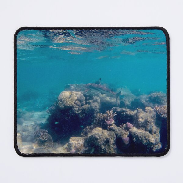 Item preview, shark swimming over reef designed and sold by mjoffe.