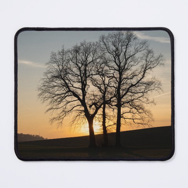Item preview, Trees and golden evening light in winter designed and sold by Heidemüllerin.