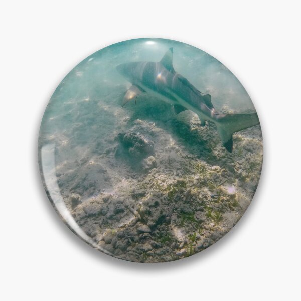 Item preview, shark over sand and sea grass designed and sold by mjoffe.