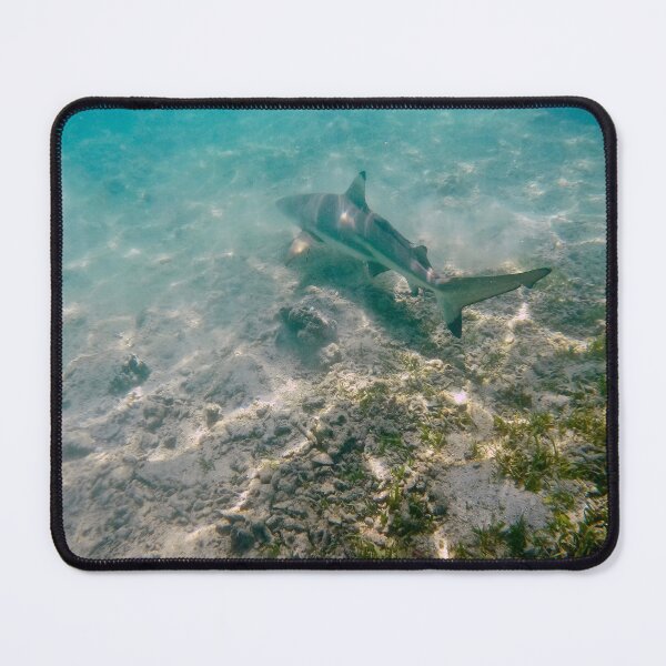 Item preview, shark over sand and sea grass designed and sold by mjoffe.
