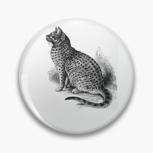 Item preview, SPOTTED TABBY  designed and sold by Simone1962.