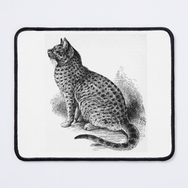 Item preview, SPOTTED TABBY designed and sold by Simone1962.