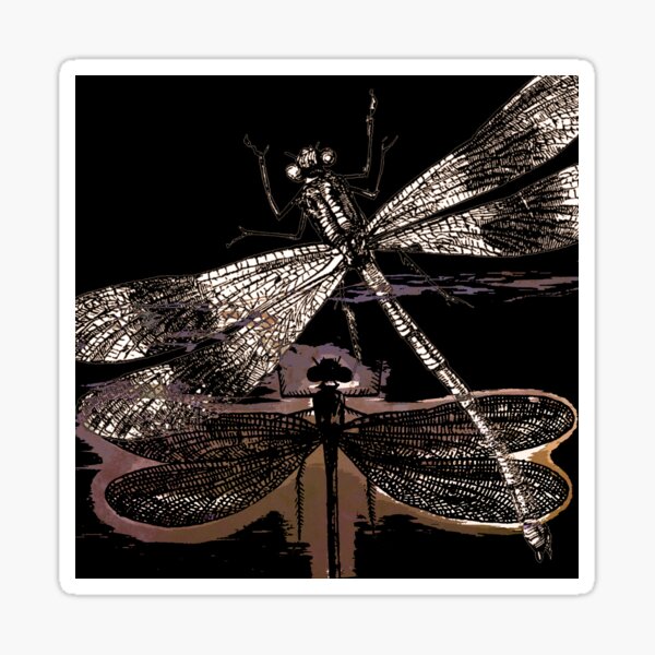 DRAGONFLY meets a FRIEND III Sticker