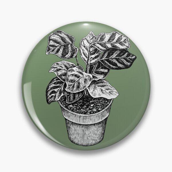 Item preview, Peacock plant designed and sold by Ronja-L-art.