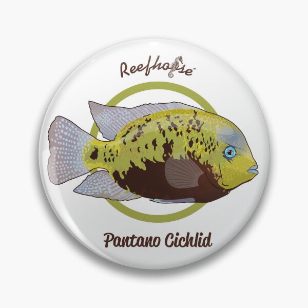 Item preview, Cíclido Pantano designed and sold by KaplanCrypto.