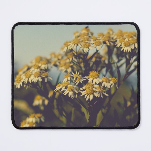 Item preview, autumn asters designed and sold by oliviastclaire.