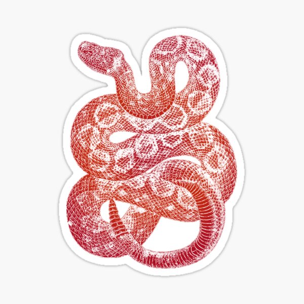 Burlon Stickers | Redbubble