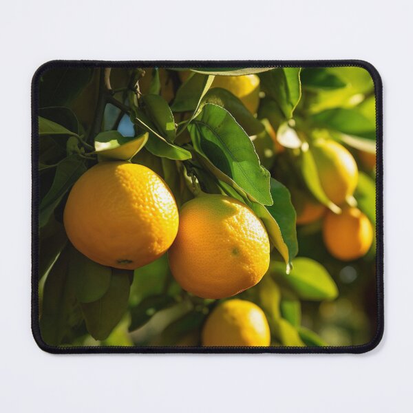 Item preview, Mandarin Orange Tree designed and sold by Aestheticlanart.