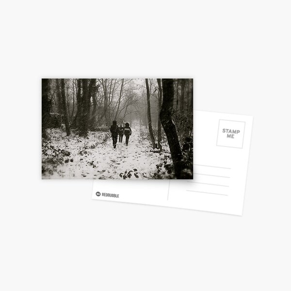 Blizzard in the Woods Postcard