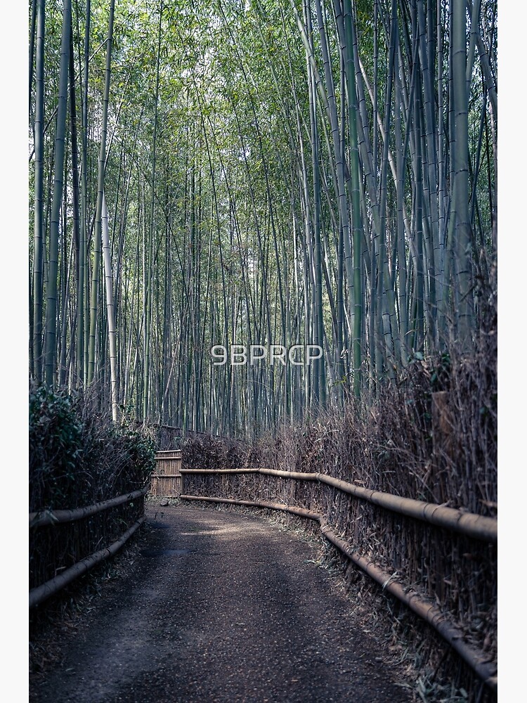 Bamboo Forest, Sagano, Kyoto, Japan Mural Wallpaper