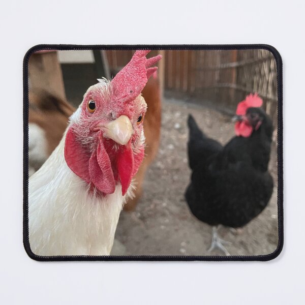 Item preview, Salty and Pepper, My Neighbor's Hens designed and sold by jenesaiscluck.