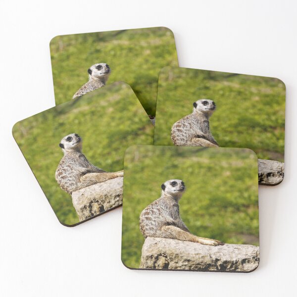 Item preview, Meerkat Lookout designed and sold by MartinPhotos.