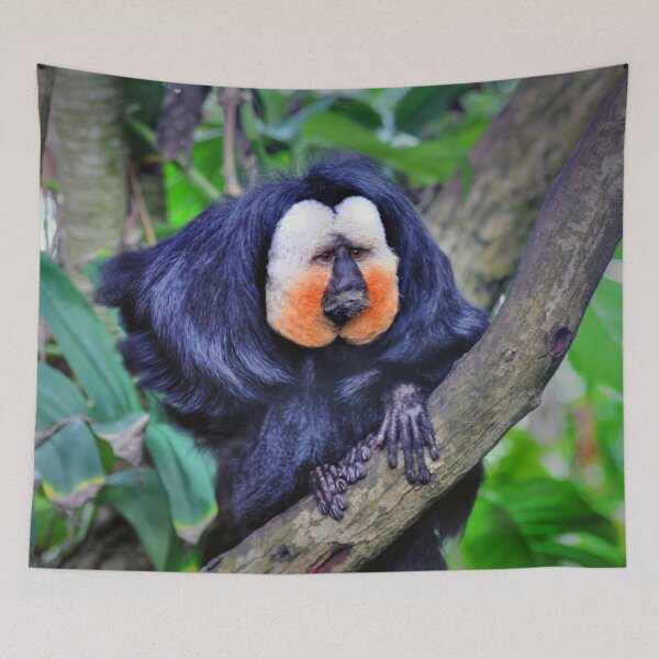 Item preview, Frankie designed and sold by Savannah Gibbs.