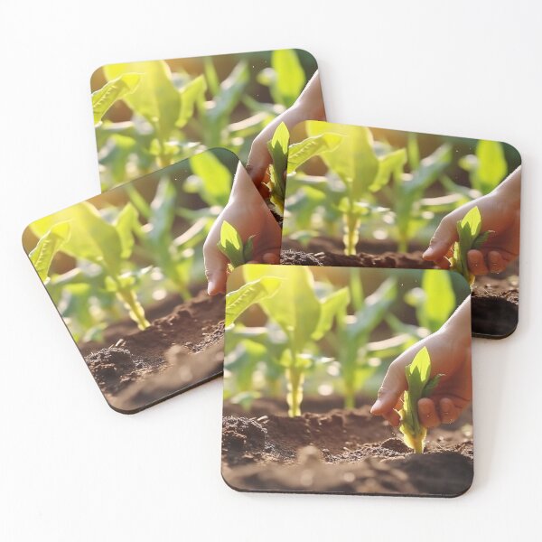 Item preview, Corn Seed farm designed and sold by Aestheticlanart.