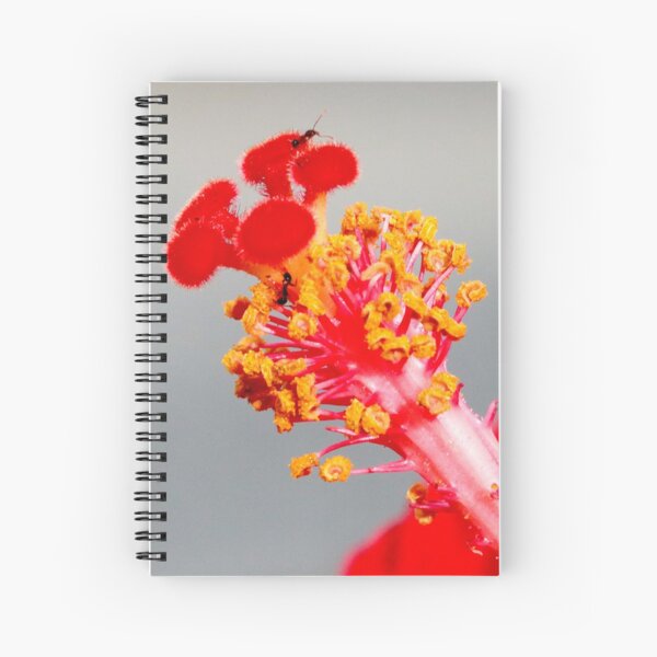 Item preview, Hibiscus  Stamen and Stigma with friends designed and sold by DPalmer.