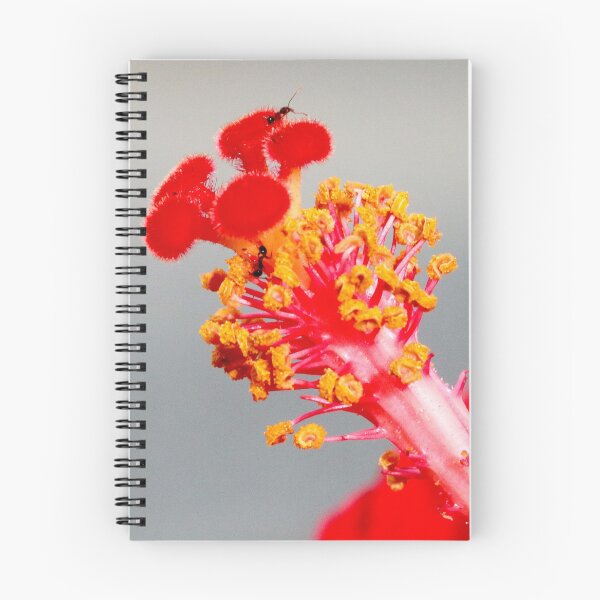 Item preview, Hibiscus  Stamen and Stigma with friends designed and sold by DPalmer.